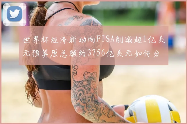世界杯经济新动向FISA削减超1亿美元预算原总额约3756亿美元如何分配