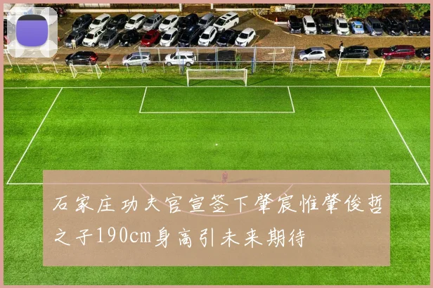 石家庄功夫官宣签下肇宸惟肇俊哲之子190cm身高引未来期待